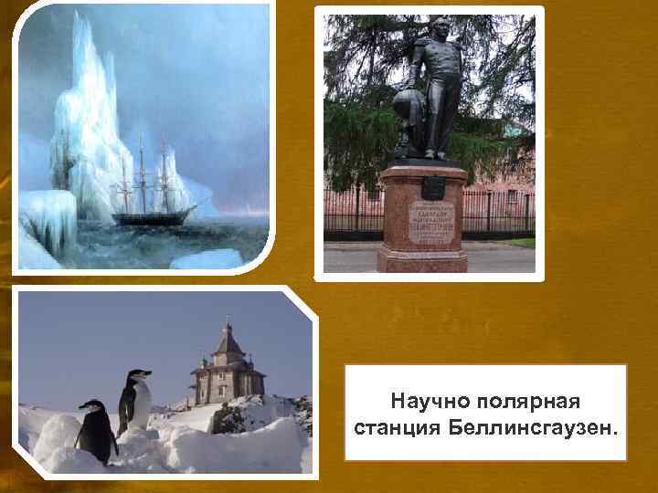Научно полярная станция Беллинсгаузен. 