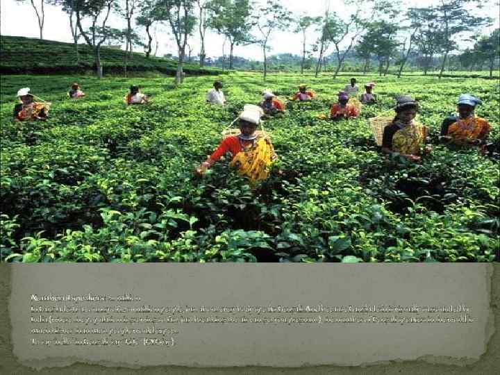 Number of speakers: 211 million In Bangladesh, a country of 120+ million people, just