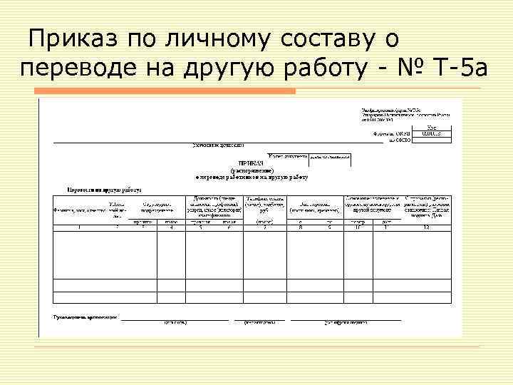  Приказ по личному составу о переводе на другую работу - № Т-5 а