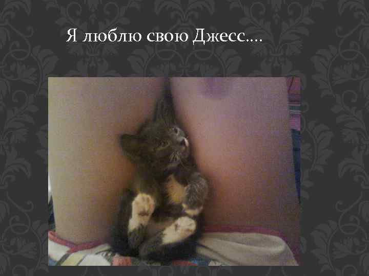Я люблю свою Джесс…. 