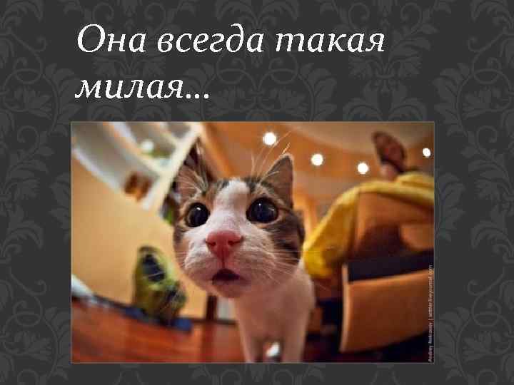 Она всегда такая милая… 