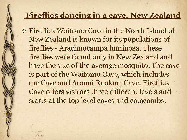  Fireflies dancing in a cave, New Zealand Fireflies Waitomo Cave in the North