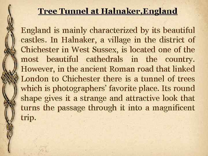 Tree Tunnel at Halnaker, England is mainly characterized by its beautiful castles. In Halnaker,