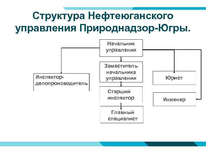 Структура Нефтеюганского управления Природнадзор-Югры. Начальник управления Инспекторделопроизводитель Заместитель начальника управления Юрист Старший инспектор Инженер