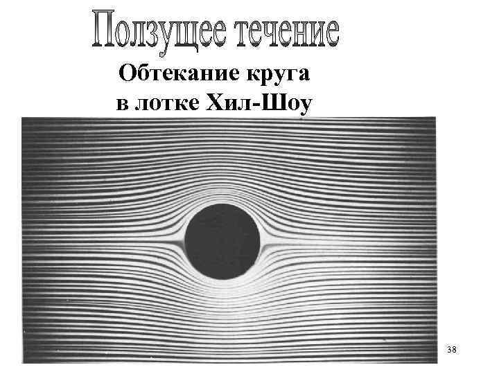 Обтекание круга в лотке Хил-Шоу 38 