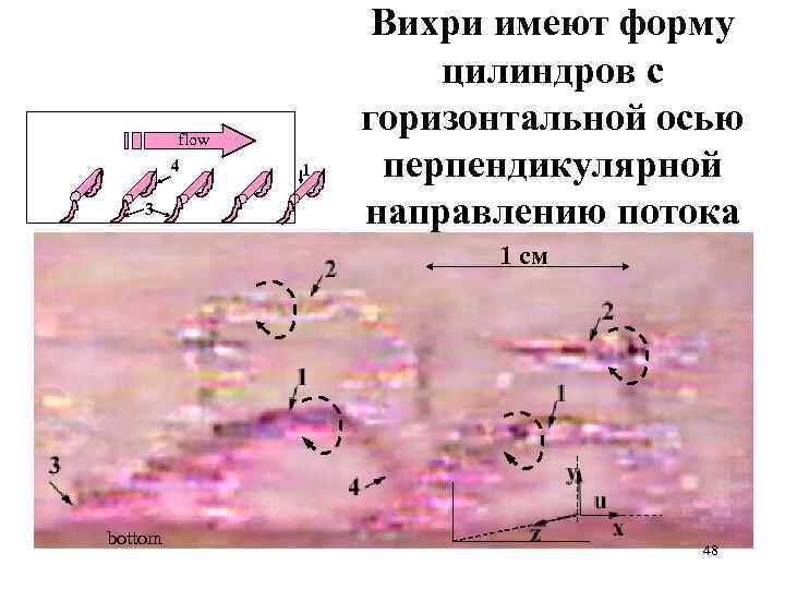 flow 4 3 1 Вихри имеют форму цилиндров с горизонтальной осью перпендикулярной направлению потока