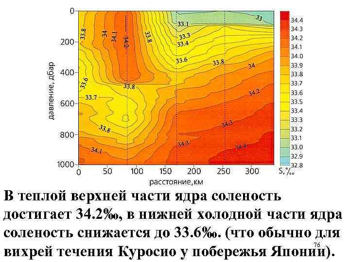 В теплой верхней части ядра соленость достигает 34. 2‰, в нижней холодной части ядра