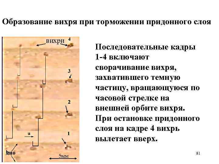 Образование вихря при торможении придонного слоя вихри дно 5 мм Последовательные кадры 1 -4