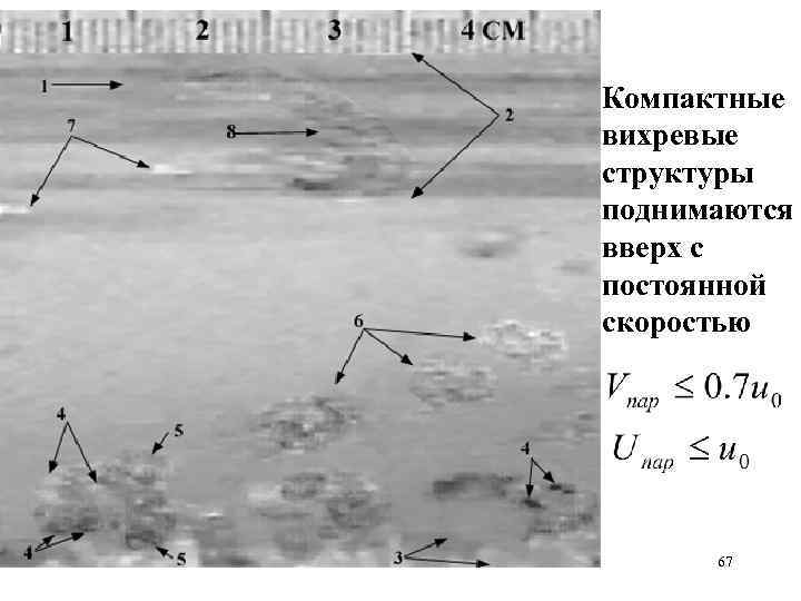Компактные вихревые структуры поднимаются вверх с постоянной скоростью 67 