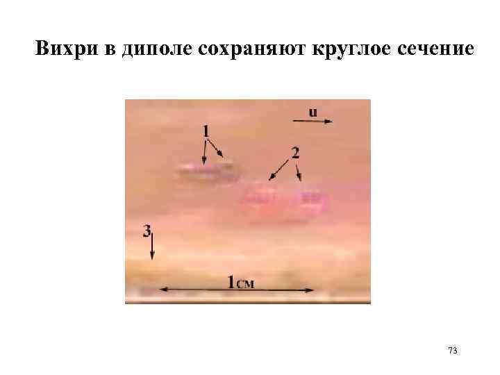 Вихри в диполе сохраняют круглое сечение 73 