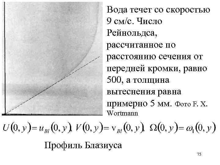 Вода течет со скоростью 9 см/с. Число Рейнольдса, рассчитанное по расстоянию сечения от передней