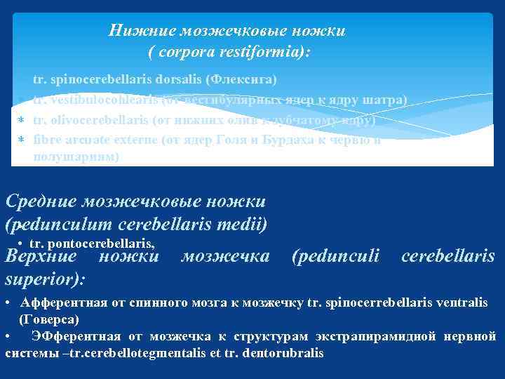 Нижние мозжечковые ножки ( corpora restiformia): tr. spinocerebellaris dorsalis (Флексига) tr. vestibulocohlearis (от вестибулярных