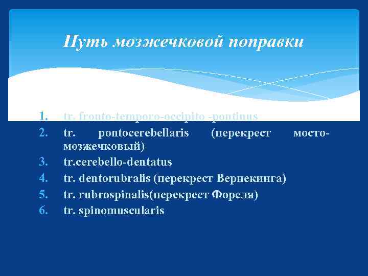 Путь мозжечковой поправки 1. 2. 3. 4. 5. 6. tr. fronto-temporo-occipito -pontinus tr. pontocerebellaris