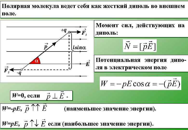 Полярная молекула ведет себя как жесткий диполь во внешнем поле. Момент сил, действующих на