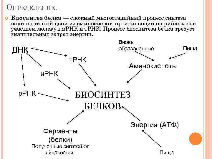 Процессы синтеза в живых клетках 11 класс презентация урока