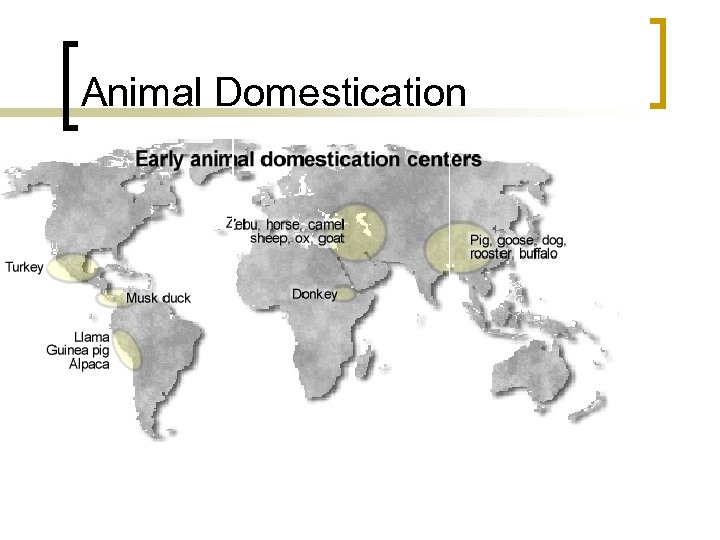 Animal Domestication 