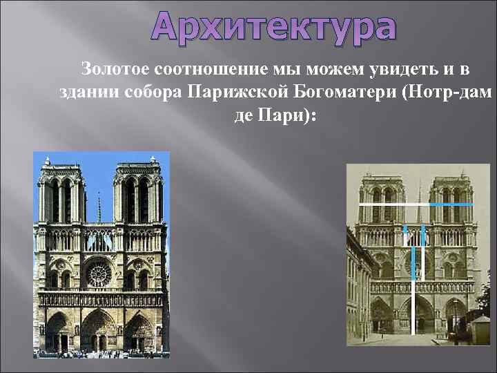 Архитектура Золотое соотношение мы можем увидеть и в здании собора Парижской Богоматери (Нотр-дам де