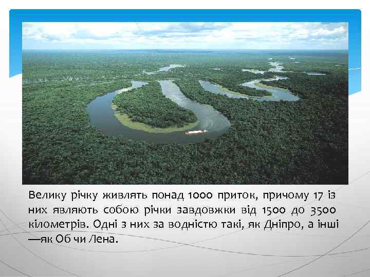 Велику річку живлять понад 1000 приток, причому 17 із них являють собою річки завдовжки