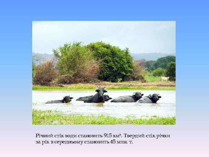 Річний стік води становить 915 км³. Твердий стік річки за рік в середньому становить