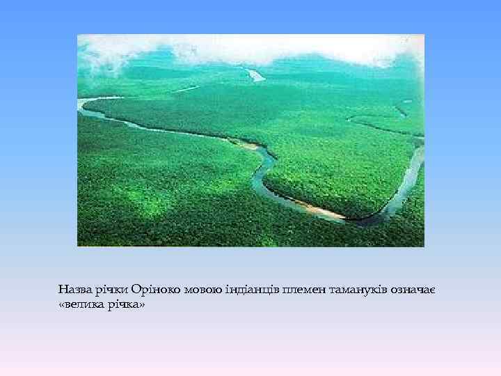 Назва річки Оріноко мовою індіанців племен тамануків означає «велика річка» 