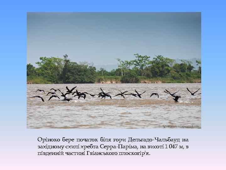 Оріноко бере початок біля гори Дельгадо-Чальбауд на західному схилі хребта Серра-Паріма, на висоті 1