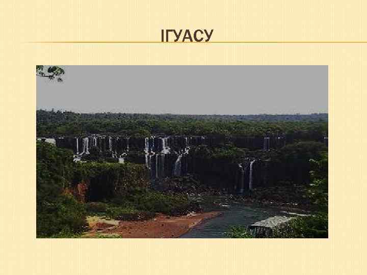 ІГУАСУ 