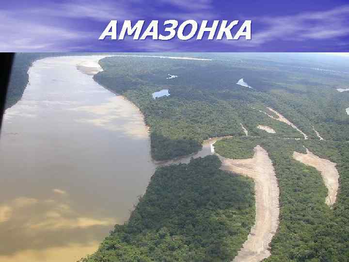 АМАЗОНКА 