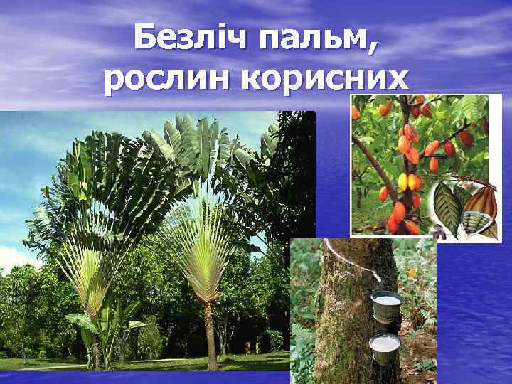 Безліч пальм, рослин корисних 