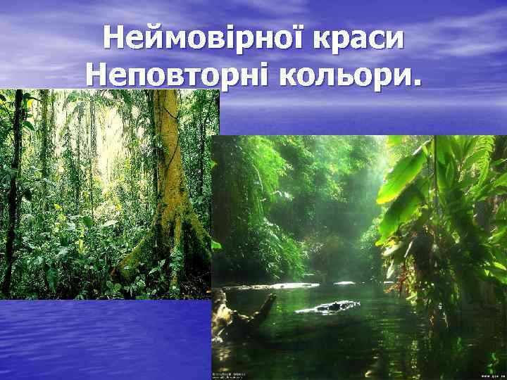 Неймовірної краси Неповторні кольори. 