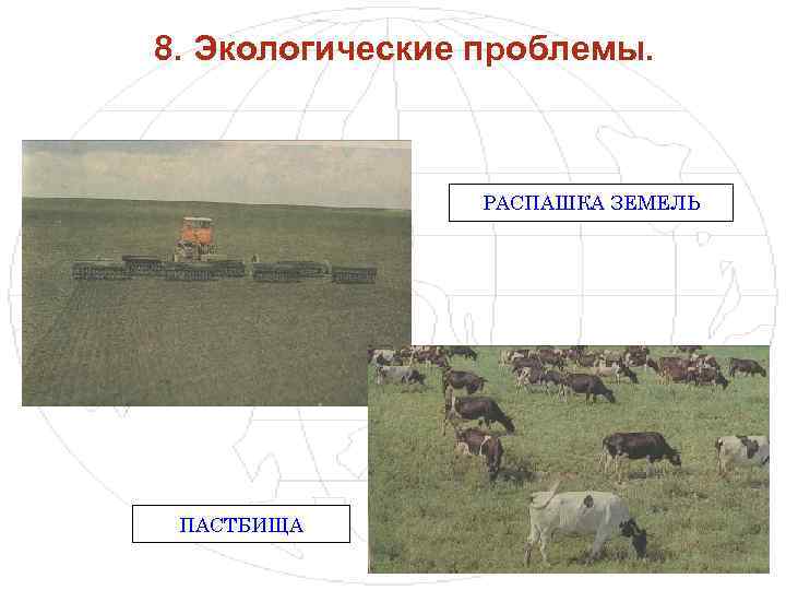 8. Экологические проблемы. РАСПАШКА ЗЕМЕЛЬ ПАСТБИЩА 