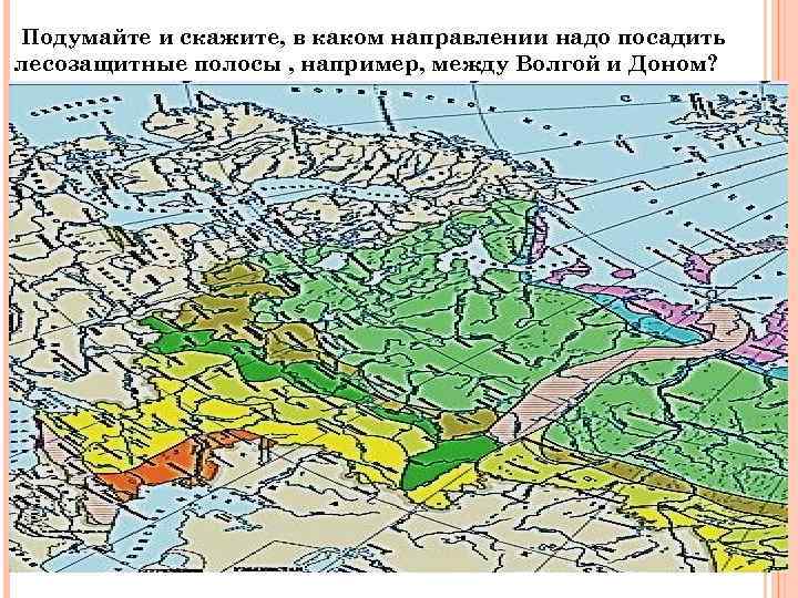 Подумайте и скажите, в каком направлении надо посадить лесозащитные полосы , например, между Волгой