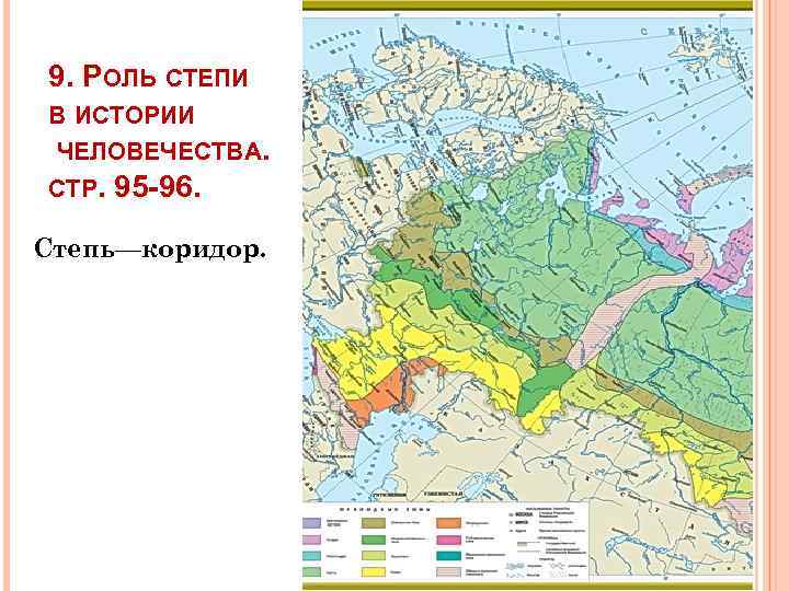 9. РОЛЬ СТЕПИ В ИСТОРИИ ЧЕЛОВЕЧЕСТВА. СТР. 95 -96. Степь—коридор. 