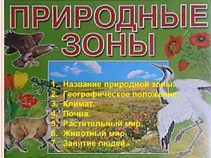 1. 2. 3. 4. 5. 6. 7. Название природной зоны. Географическое положение. Климат. Почва.