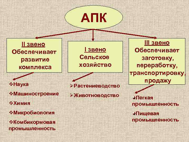АПК II звено Обеспечивает развитие комплекса I звено Сельское хозяйство v. Наука ØРастениеводство v.