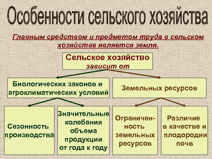 Главным средством и предметом труда в сельском хозяйстве является земля. Сельское хозяйство зависит от