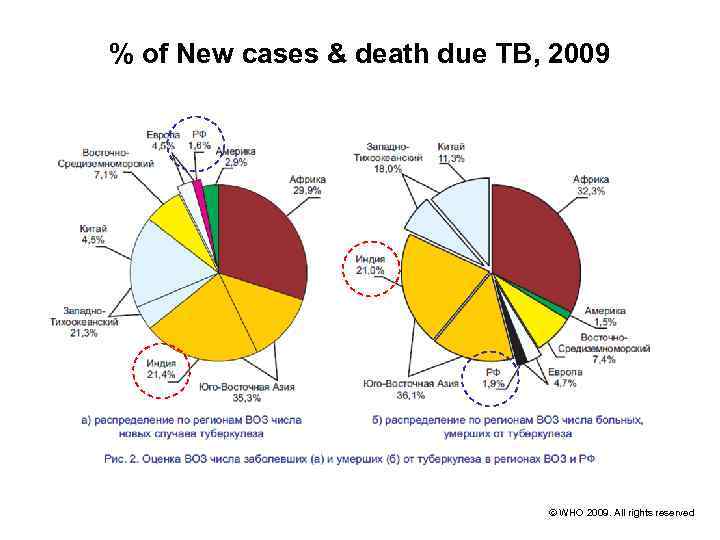 % of New cases & death due ТВ, 2009 WHO 2009. All rights reserved