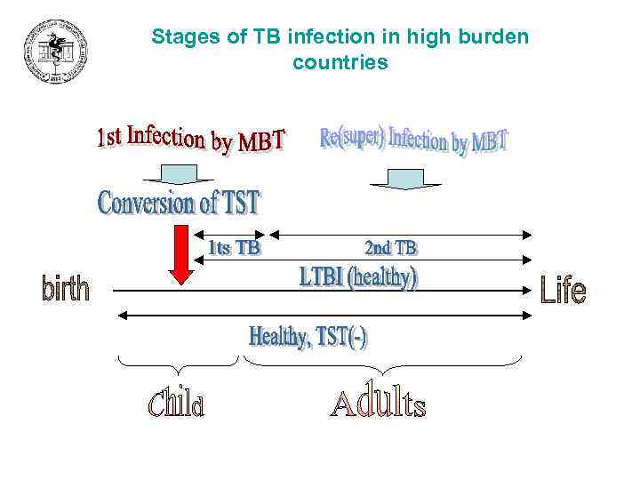 Stages of TB infection in high burden countries 