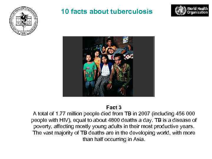 10 facts about tuberculosis Fact 3 A total of 1. 77 million people died