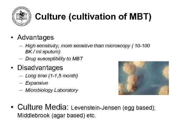 Culture (cultivation of MBT) • Advantages – High sensitivity, more sensitive than microscopy (