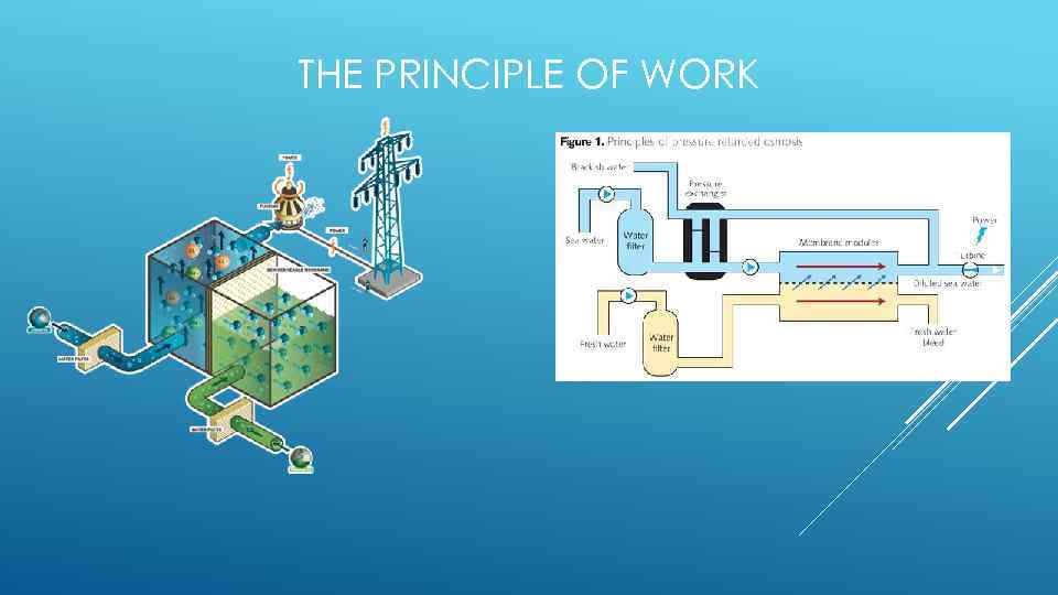 THE PRINCIPLE OF WORK 