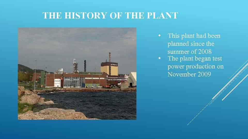 THE HISTORY OF THE PLANT • • This plant had been planned since the