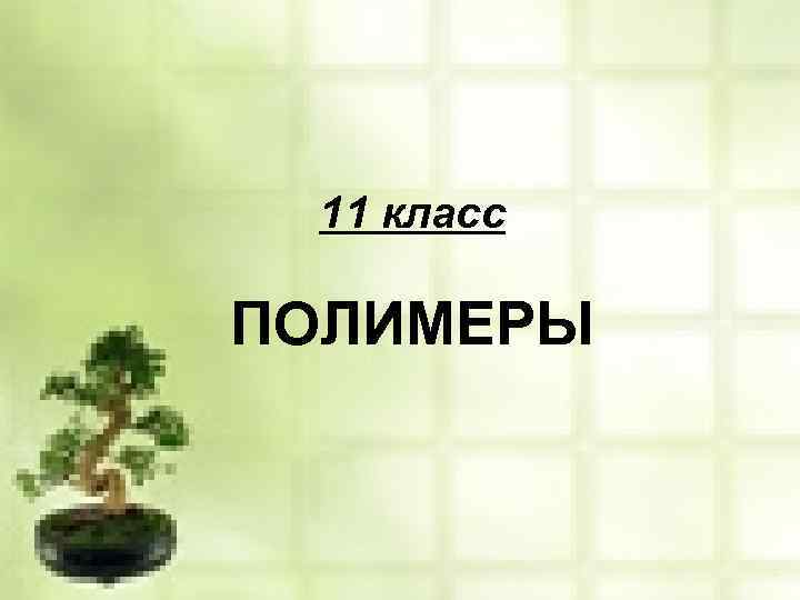 11 класс ПОЛИМЕРЫ 