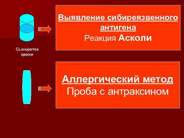 Выявление сибиреязвенного антигена Реакция Асколи Сыворотка крови Аллергический метод Проба с антраксином 
