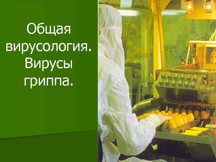 Общая вирусология. Вирусы гриппа. 