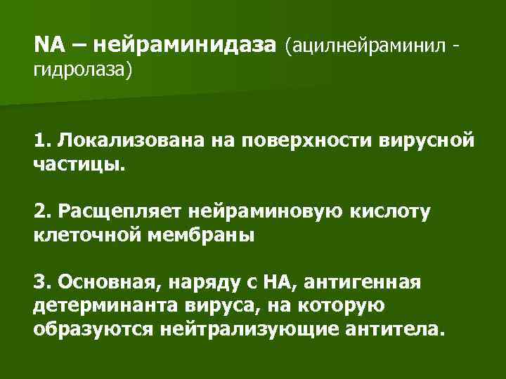 NA – нейраминидаза (ацилнейраминил гидролаза) 1. Локализована на поверхности вирусной частицы. 2. Расщепляет нейраминовую