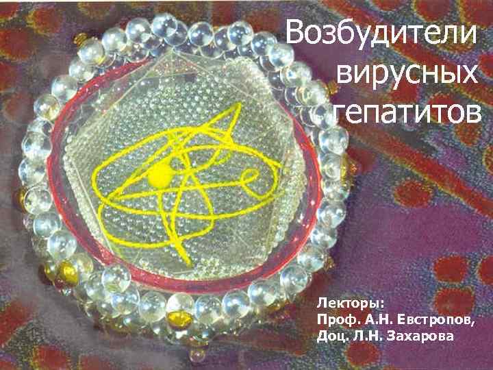 Возбудители вирусных гепатитов Лекторы: Проф. А. Н. Евстропов, Доц. Л. Н. Захарова 