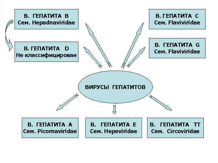 В. ГЕПАТИТА В Сем. Hepadnaviridae В. ГЕПАТИТА С Сем. Flaviviridae В. ГЕПАТИТА G Сем.
