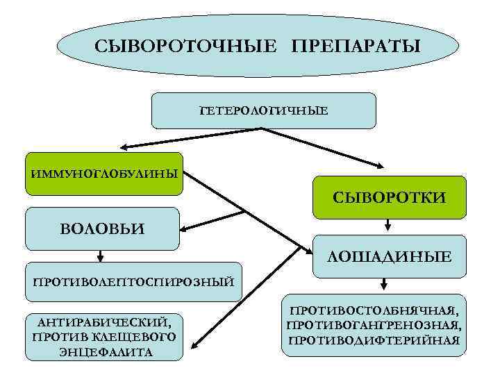СЫВОРОТОЧНЫЕ ПРЕПАРАТЫ ГЕТЕРОЛОГИЧНЫЕ ИММУНОГЛОБУЛИНЫ СЫВОРОТКИ ВОЛОВЬИ ЛОШАДИНЫЕ ПРОТИВОЛЕПТОСПИРОЗНЫЙ АНТИРАБИЧЕСКИЙ, ПРОТИВ КЛЕЩЕВОГО ЭНЦЕФАЛИТА ПРОТИВОСТОЛБНЯЧНАЯ, ПРОТИВОГАНГРЕНОЗНАЯ,