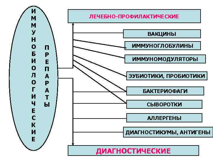 И М М У Н О Б И О Л О Г И Ч