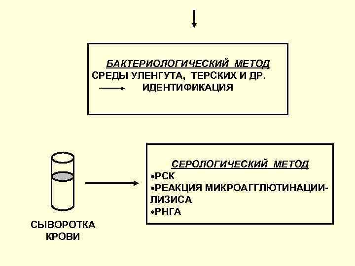 БАКТЕРИОЛОГИЧЕСКИЙ МЕТОД СРЕДЫ УЛЕНГУТА, ТЕРСКИХ И ДР. ИДЕНТИФИКАЦИЯ СЕРОЛОГИЧЕСКИЙ МЕТОД РСК РЕАКЦИЯ МИКРОАГГЛЮТИНАЦИИЛИЗИСА РНГА